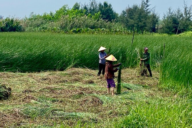 Tra Nhieu Village Rural Life Experience Cycling Adventure - Good To Know