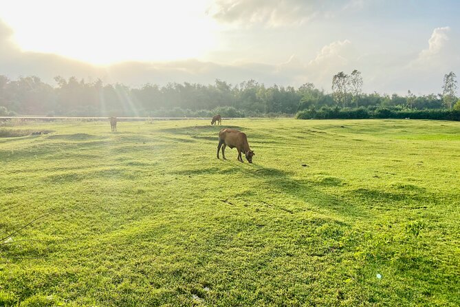 Tra Nhieu Village Rural Life Experience Cycling Adventure - Maximum Participants