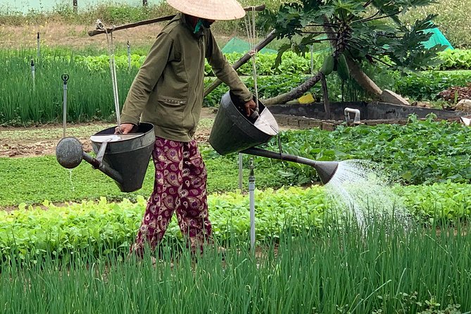 Tra Que Family-Run Tour & Cooking Class  - Hoi An - Farm Tour and Cultural Experiences