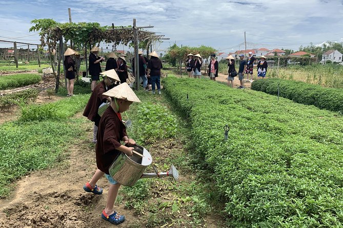 Tra Que Family-Run Tour & Cooking Class  - Hoi An - Traveler Photos, Reviews, and Ratings