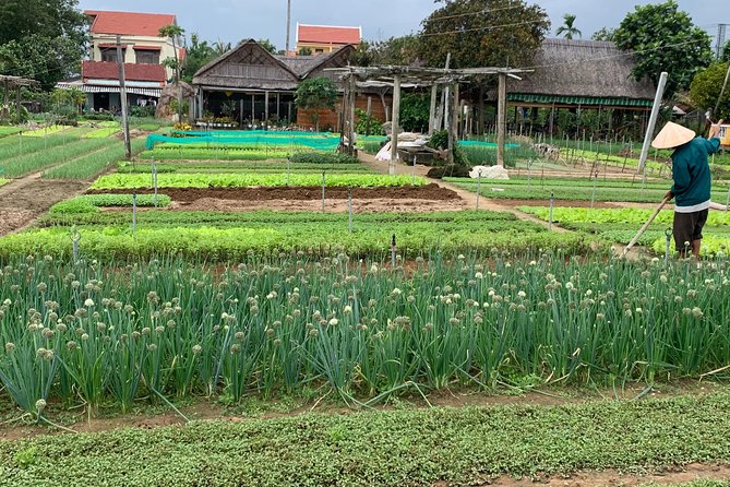 Tra Que Family-Run Tour & Cooking Class  - Hoi An - Common Questions
