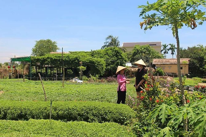 Tra Que Herb Village Farm Visit With Lunch  - Hoi An - Flexible Cancellation Policy