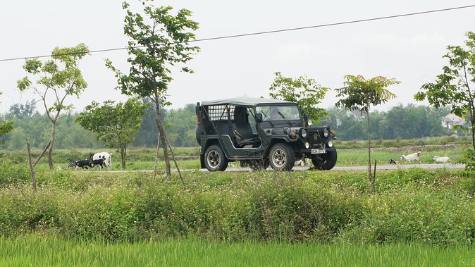 Tra Que Vegetable Village And Sunset Cruise On Thu Bon River - Tour Overview and Inclusions