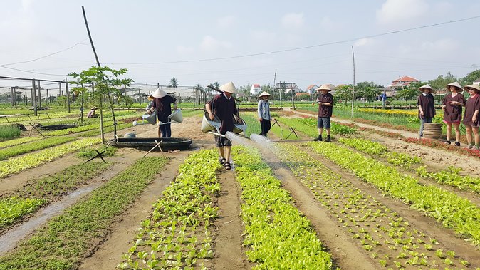 Tra Que Vegetable Village And Sunset Cruise On Thu Bon River - Cancellation and Refund Policy