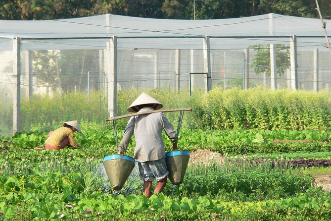 Tra Que Vegetable Village And Sunset Cruise On Thu Bon River - Questions and Help Center