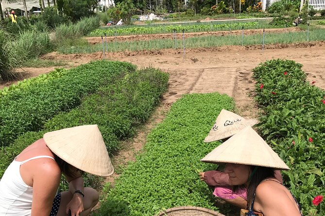 Tra Que Village Tour - How to Book