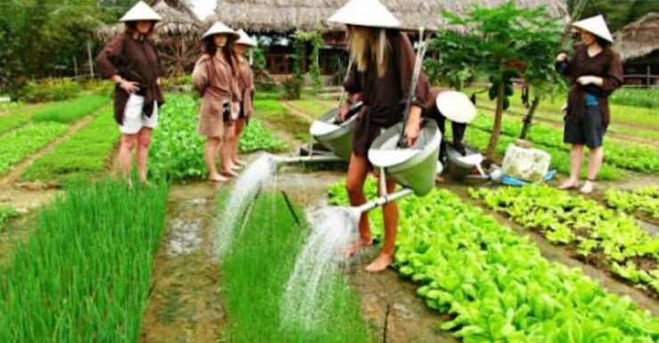 Tra Que Village Vegetable Farm Experience by Bike - Good To Know