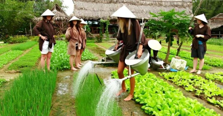 Tra Que Village Vegetable Farm Experience by Bike - Good To Know