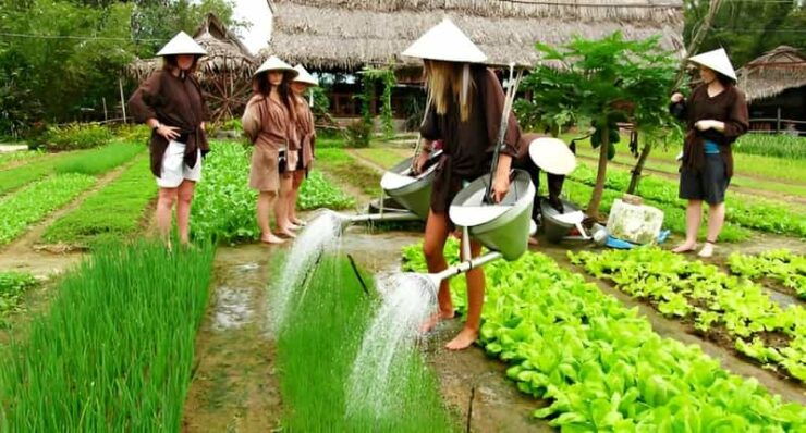Tra Que Village Vegetable Farm Experience by Bike - Pricing and Booking