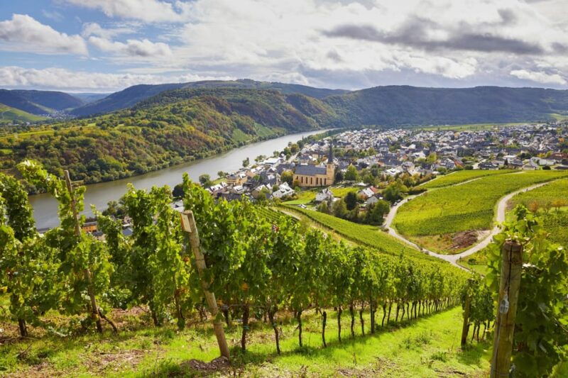 Traben-Trarbach / Bernkastel-Kues, Moselle: Wine experience hike - Scenic Boat Trip to Kröv