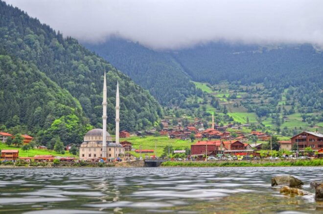 Trabzon: Uzungöl Private Tour & Explore The Nature & Tea - Tea Production and Tasting