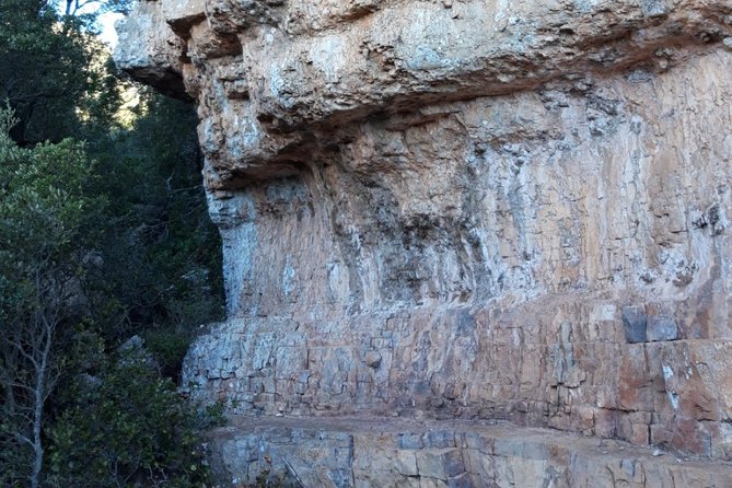 Tracks of the Ogliastra's 'Tacchi' (Mar ) - Flora and Fauna of the Tacchi