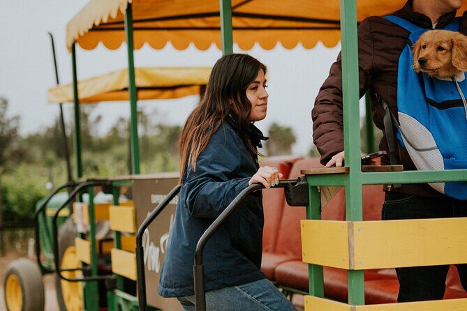 Tractor Pull Around Vineyards and Wine Tasting Tour - Who is This Tour Best For?