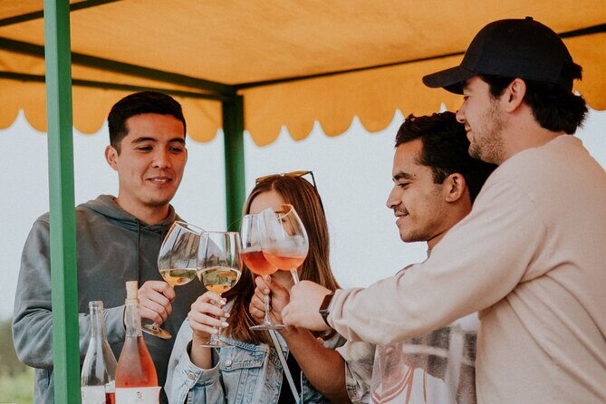 Tractor Pull Around Vineyards and Wine Tasting Tour - The Sum Up