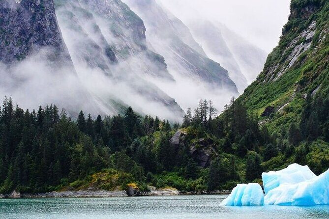 Tracy Arm Fjord and Glacier Explorer from Juneau - Why This Tour Offers Great Value