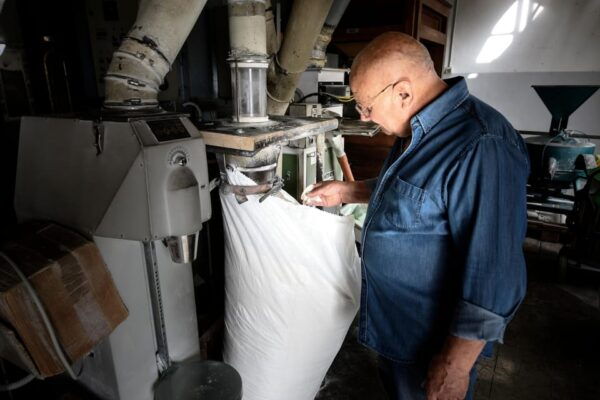 Tradition and Taste: Tour of Caltagirones Historic Mill - Ancient Grains and Food Hemp