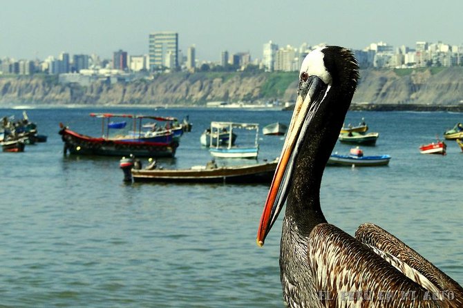Traditional and Indigenous Markets of Lima - Shopping Tips and Bargaining Techniques