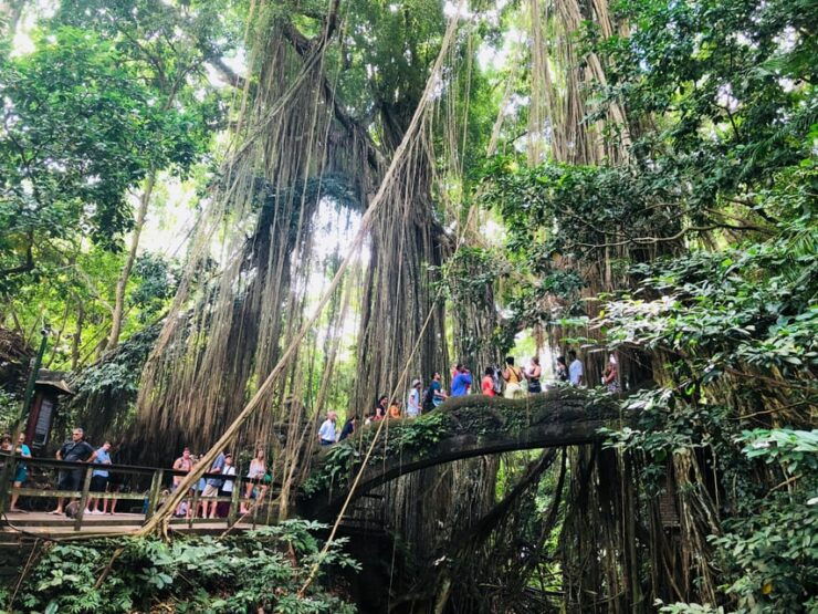 Traditional Bali Art and Shopping Tour in Ubud - Key Points