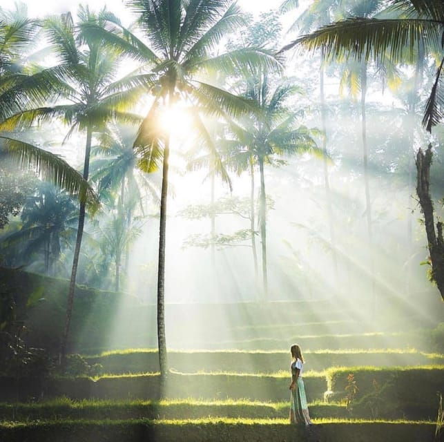 Traditional Bali Art and Shopping Tour in Ubud - Transportation Details