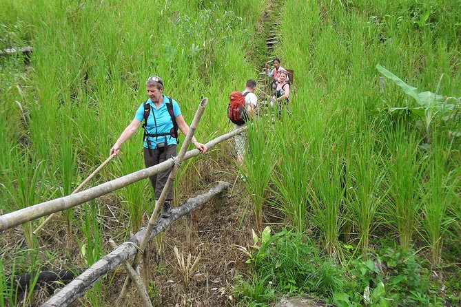 Traditional Bidayuh Village Bamboo Longhouse Tour - Inclusions and Logistics