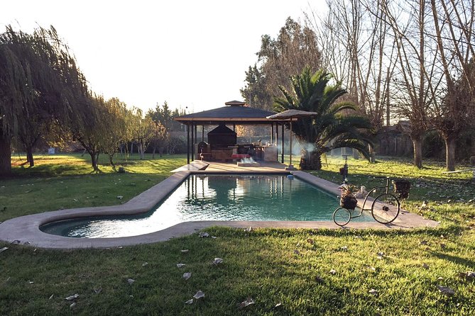 Traditional Chilean Cooking Class With a Local in Her Santiago Countryside Home - Experience Highlights