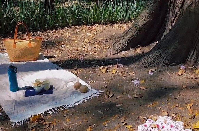 Traditional Chinese Tea Ceremony in the Heart of Mexico City - The Sum Up