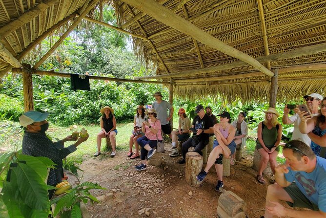 Traditional Chocolate Making in Belize - History of Chocolate in Belize