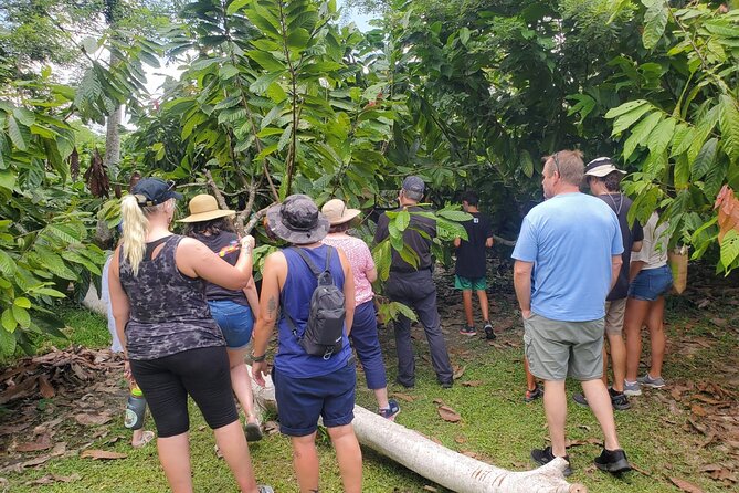 Traditional Chocolate Making in Belize - Frequently Asked Questions