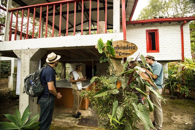 Traditional Coffee Farm Experience at Hacienda Coloma From Bogotá - Experience Details