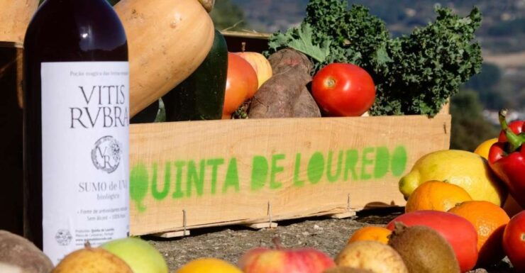 Traditional Cooking Class and Farm Tour in the Douro Valley - Booking Details