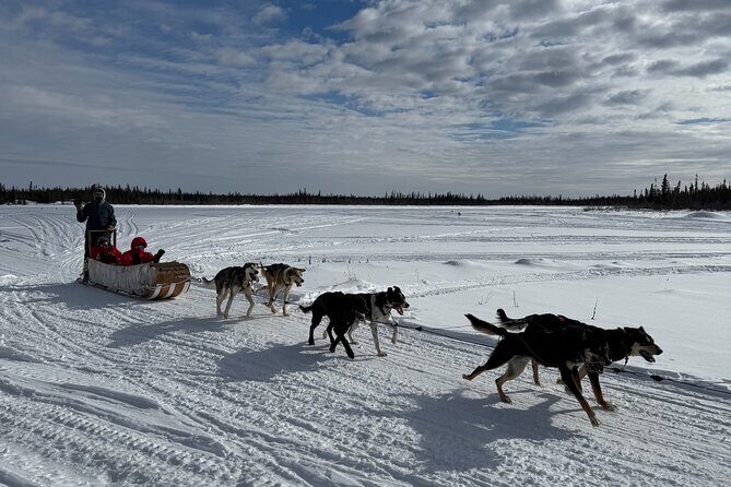 Traditional Dog Sledding Adventure in Yellowknife - Good To Know  