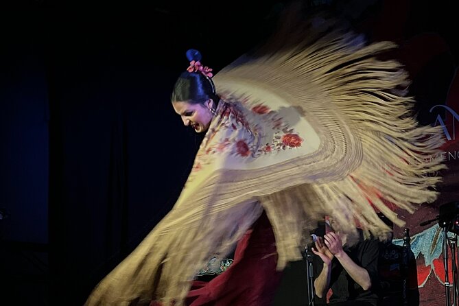 Traditional Flamenco Show at Tablao Casa Ana - The Sum Up