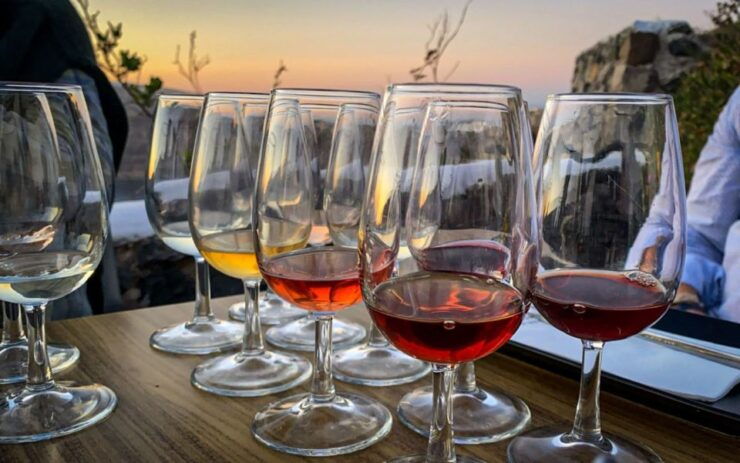 Traditional Food and Wine Tasting in Douro Valley - Wine Tasting at DouroPremium Wineries