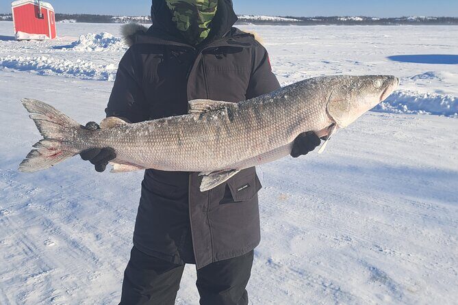 Traditional Ice Fishing with Net Pull and Lunch - Good To Know