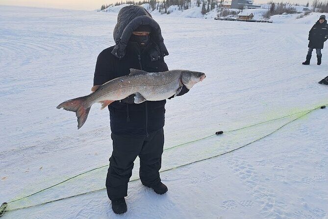 Traditional Ice Fishing with Net Pull and Lunch - The Sum Up
