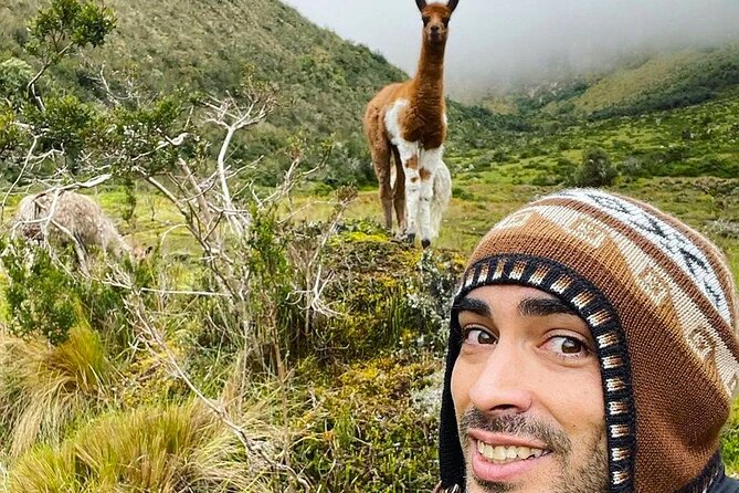 Traditional Inca Trail To Machu Picchu Of 2 Days - Reviews and Ratings