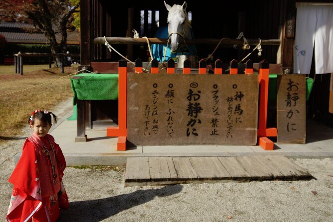 Traditional Kyoto Full-Day Bike Tour and Optional Sake Tasting - Reviews and Ratings