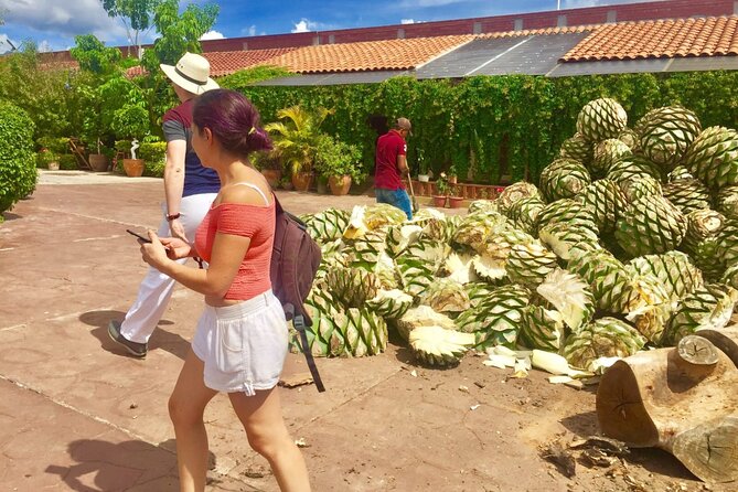 Traditional Market ,Widest Tree, Artisanal Textiles, Mezcal Magic - Vibrant Local Products