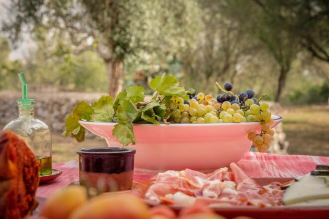 TRADITIONAL MARKET, WINERIES AND TASTINGS TOUR - Experience Highlights