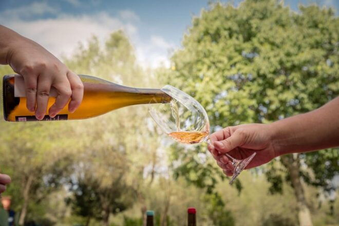TRADITIONAL MARKET, WINERIES AND TASTINGS TOUR - Included Activities and Features
