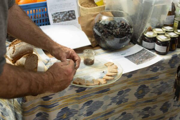 TRADITIONAL MARKET, WINERIES AND TASTINGS TOUR - Meeting Point and What to Bring