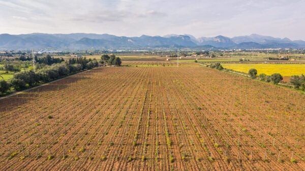 TRADITIONAL MARKET, WINERIES AND TASTINGS TOUR - Cancellation Policy