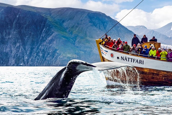 Traditional Oak Ship Whale Watching Tour From Husavik - Meeting and Pickup Information