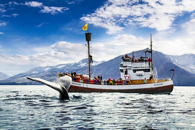 Traditional Oak Ship Whale Watching Tour From Husavik - Additional Information and Cancellation Policy