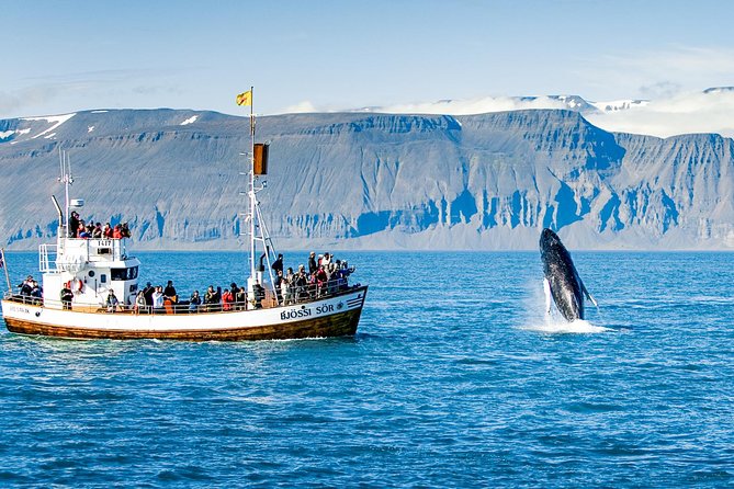 Traditional Oak Ship Whale Watching Tour From Husavik - Tour Details and Pricing