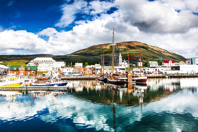 Traditional Oak Ship Whale Watching Tour From Husavik - The Sum Up