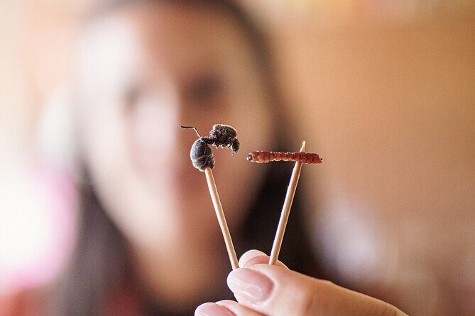 Traditional Oaxacan Cooking Class - Tasting and Sampling