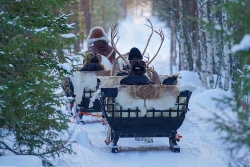 Traditional Reindeer Farm Visit with a Short Sleigh Ride - An Authentic Glimpse into Lapland’s Reindeer Culture