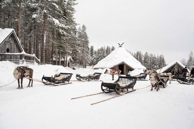 Traditional Reindeer Farm Visit With a Short Sleigh Ride - Meeting and Pickup Details
