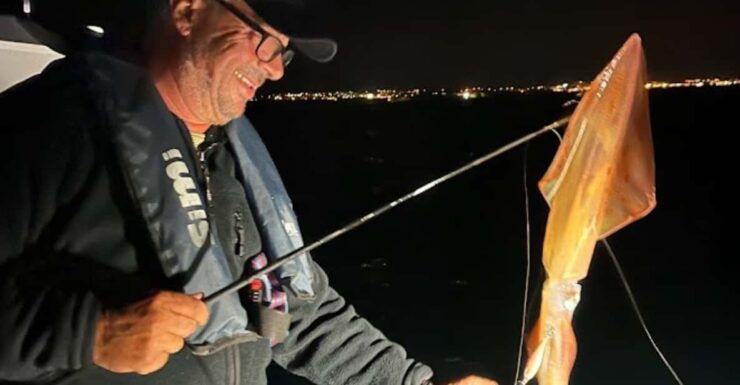 Traditional Squid and Cuttlefish Fishing in Algarve - Good To Know